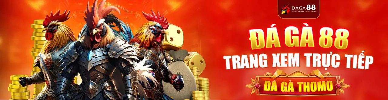 Đá Gà Trực Tuyến i9bet141 App Android