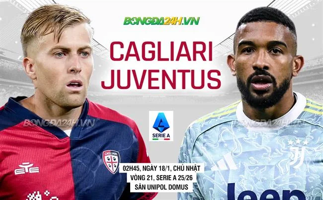 Đá gà Thomo live chất lượng cao trên i9bet141